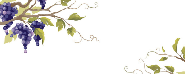 Grapevine - vector background. Banner with a twisting vine with leaves and berries. Freehand drawing in watercolor style. - obrazy, fototapety, plakaty