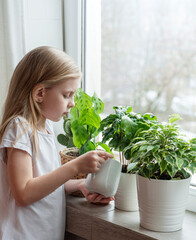 Little girl watering houseplants © Olena Rudo