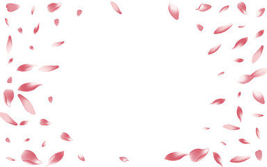 Transparent Cherry Petal Vector White Background.