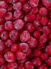 frozen red currants close up