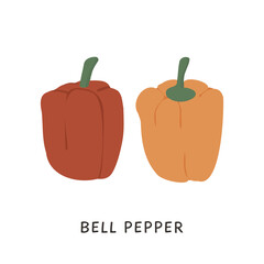 Whole fruits of sweet bell peppers in red and yellow colors. Fresh organic vegetables for healthy nutritious diet. Colorful hand-drawn vector illustration of veggies isolated on white background.