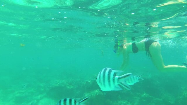 Young woman swims with a mask and fins underwater with coral fish, Zanzibar. Woman in bikini snorkeling exotic reef with tropical fish. Girl in a swimsuit dives in clear water in the style of a fish.
