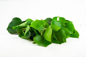 Fresh green leaf, natural environment, floral, foliage, single isolated object, design element