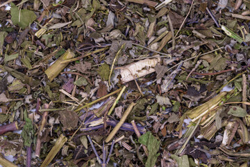 Herbs and tea dry collection background