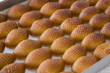 Traditional delicious fresh Turkish Baklava