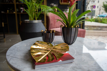 house interior design with decorative objects and plants