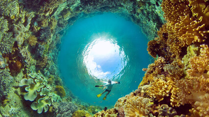 The Underwater World of the with Colored Fish and a Coral Reef. Tropical reef marine. Philippines.