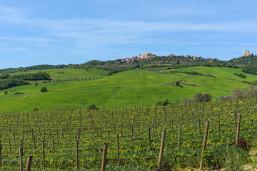 Fototapeta na wymiar Panoramic landscape of the Italian Tuscan town with stone houses, a fortress on the mountain and green fields in spring.