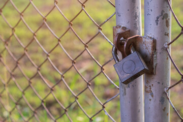 Old brass padlock was locked the wire mesh door and blurred green field with sunrise background. Selective focus and copy space.
