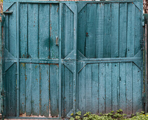 old blue wooden gate with cracks, scuffs and grass in the lower right corner