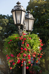 flower pots with red geranium flowers hanging on a lighting pole with retro lanterns