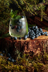 Gin and Tonic cocktail with blueberry and mint.