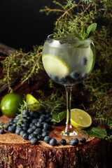 Gin and Tonic cocktail with blueberry, lime, and mint.