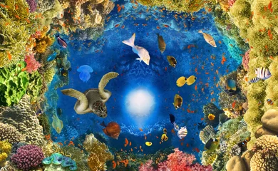 Fotobehang onderwater paradijs achtergrond - koraalrif wildlife natuur collage met zeeschildpad en kleurrijke vissen achtergrond © Solarisys