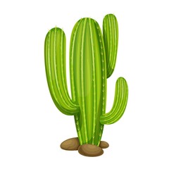 Mexican cactus vector illustration, nopal icon in cartoon style.