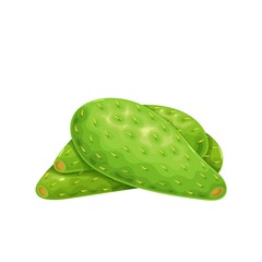 Green cactus leaf nopales icon vector illustration.