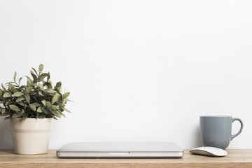 Computer, plant and coffee cup on table. working space.