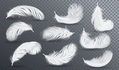 Falling white fluffy twirled feather set, isolated Goose feathers realistic style, vector 3d illustration.
