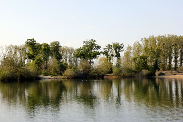 Fototapeta na wymiar Etang du Corra en forêt de Saint-Germain-en-Laye