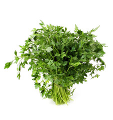 bunch of parsley isolated on white background
