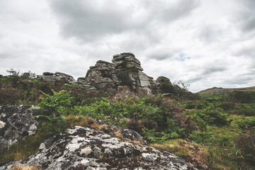 Fototapeta na wymiar Dartmoor Landscapes, Dartmoor National Park, UK