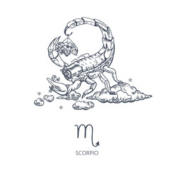 Scorpio zodiac sign. Scorpio among the clouds. Basket of flowers.