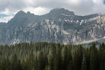 Gebirge und Wald am Muotathaler Urwaldweg
