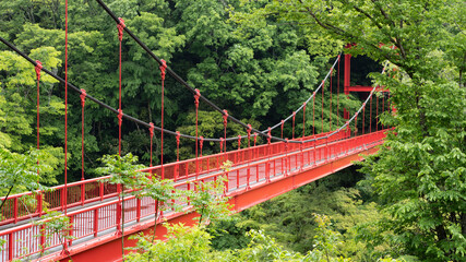 森の中の赤い吊橋