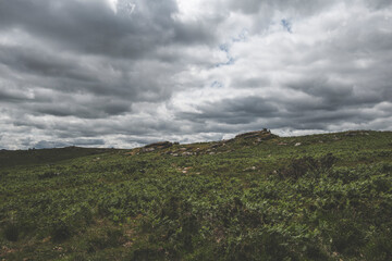 Dartmoor Landscapes, Dartmoor National Park, UK