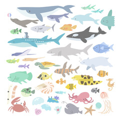 海の動物のイラストセット