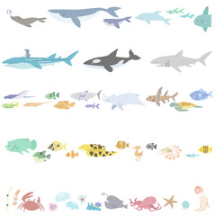海の動物のイラストセット(罫線)
