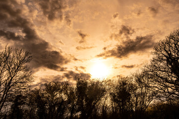 Obraz premium Golden Evening in Combe Valley, East Sussex