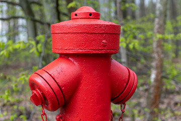 Hydrant am Waldrand