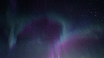 Beautiful curved Aurora Borealis - bright green magenta and purple lights on clear without clouds...