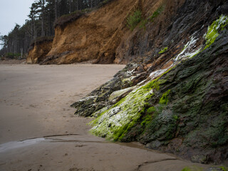 Coast of Washington State or Oregon with cliffs and the Pacific Ocean. Nature