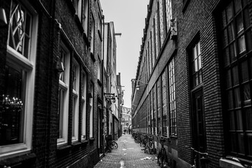 Old houses on street of Amsterdam.