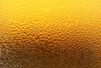 Closeup Texture of Water Droplets on Gradient Golden Yellow Lager Beer Glass Bottle