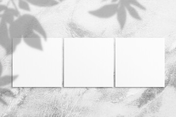 Composition of empty white square watercolor sheets of paper and shadow from leaves on a light gray concrete background. Advertising board, mockup on the wall. Flat lay, top view, copy space