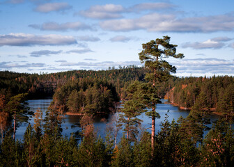 A freindly day at a lake in sweden