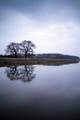 A hazy day at the river with two trees