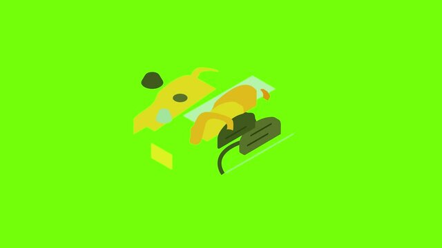 Big jack plane icon animation cartoon object on green screen background