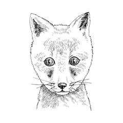 Foto op Aluminium Hand drawn portrait of funny Fox baby © Marina Gorskaya