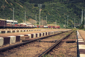 Railway track with freight trains and nature