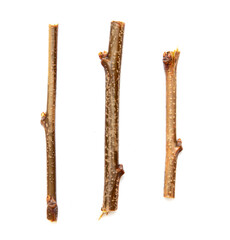 Wooden twigs isolated on a white