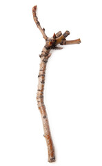 Wooden twig isolated on a white background.