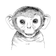 Gordijnen Hand drawn portrait of funny monkey baby © Marina Gorskaya