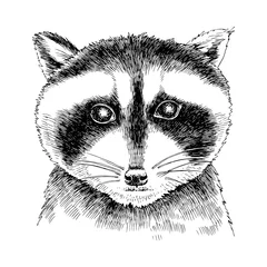 Foto op Canvas Hand drawn portrait of funny Raccoon baby  © Marina Gorskaya