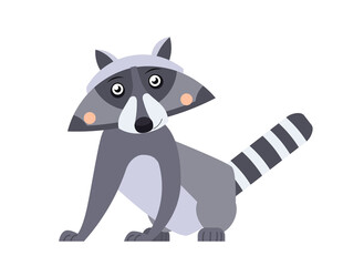 Cartoon cute raccoon in flat style. North American animal for abc book. Vector illustration
