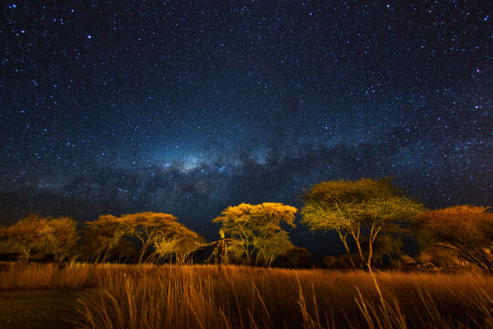 Milky way night sky over African plains, Namibia