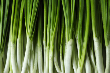 Fresh green onion on whole background, close up - Powered by Adobe